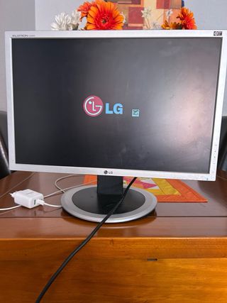 Pantalla LG 20 Plata