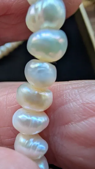 Coyar perla blanca y oro 18 kilates esté coya es a