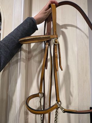 Cabezada de presentación de cuero