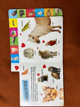 Nuestros amigos los animales