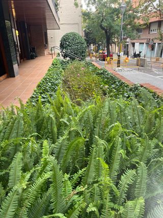 jardinero disponible