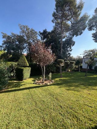 jardinero disponible