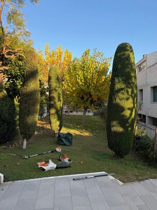 jardinero disponible