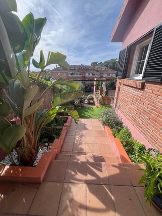 jardinero disponible