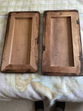 dos Cuadros de madera con flores y hiedra.