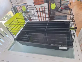 Jaula para cobayas negra y verde
