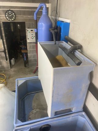 Equipo depuración marisco