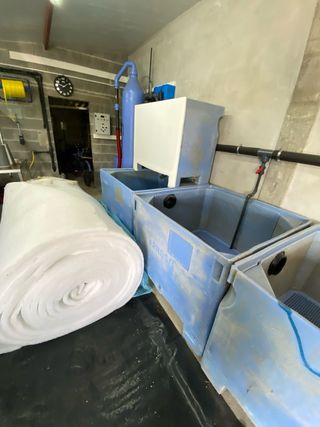 Equipo depuración marisco