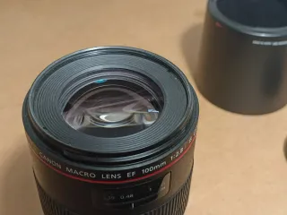 Canon EF100mm F/2.8L Macro IS USM