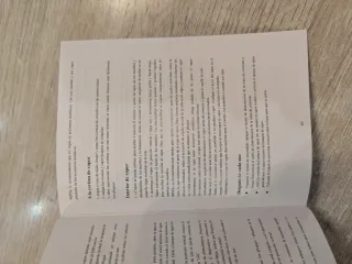 Plancha Vertical Vapor Raelunyi MY-161