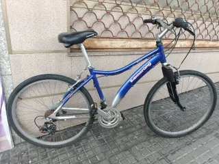 Bicicleta MTB Boomerang Azul