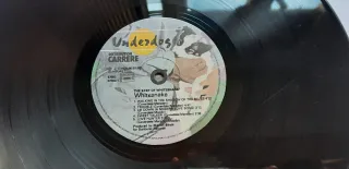 LP vinilo The Best of Whitesnake