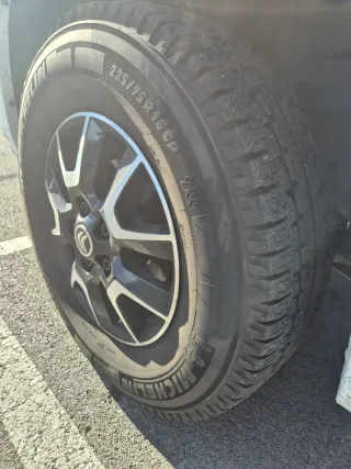 giottiline siena 322 privilege  2022