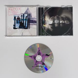 Bryan Adams - 18 Till I Die CD 1996