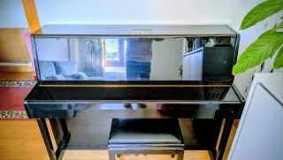 Piano Kawai CS9 Negro