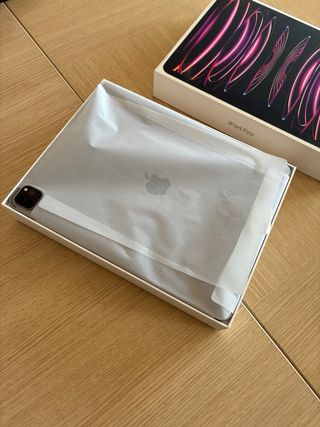 iPad Pro 12,9 6ª Gen 128GB Wi-Fi Gris