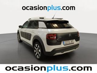 Citroen C4 Cactus 110 PureTech S&S Rip Curl 81 kW (110 CV)