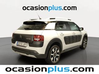 Citroen C4 Cactus 110 PureTech S&S Rip Curl 81 kW (110 CV)