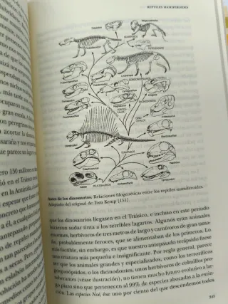 RICHARD DAWKINS EL CUENTO DEL ANTEPASADO