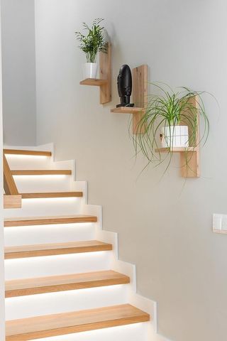 Juego 3 Estantes Madera Plantas