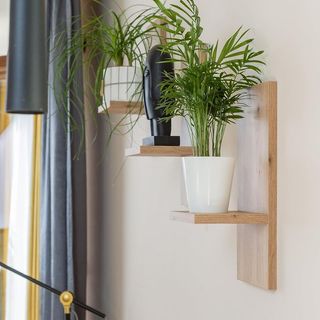 Juego 3 Estantes Madera Plantas