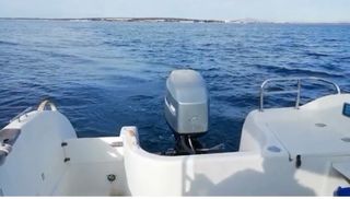 Embarcación Quicksilver Flamingo 530