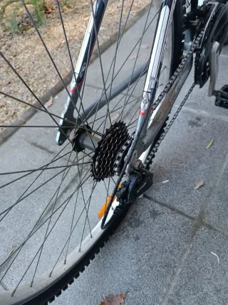 Bicicleta Trek Montagna Ruote 26