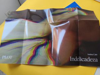 Indelicadeza de Amina Cain