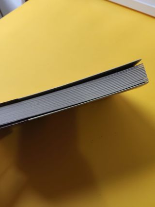 Indelicadeza de Amina Cain