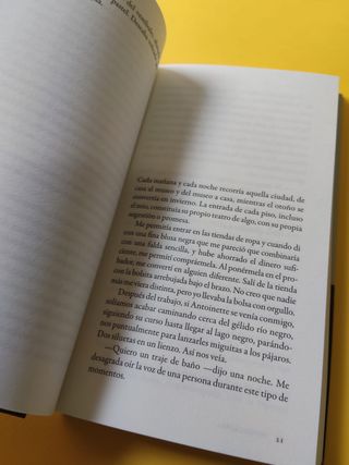 Indelicadeza de Amina Cain