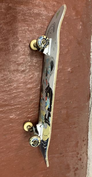 Skate GLOBE Bandits Vacation