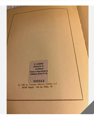 Salvatore Cerino-ARMONIE DI POSILLIPO 1989 DEDICA