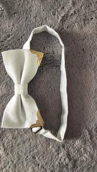 Pajarita Elegante Hombre