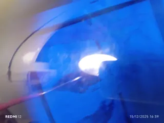 Cúpula Puig CBR 600 RR Azul