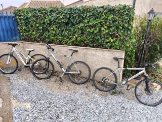 Bicicletas Clásicas de los 90