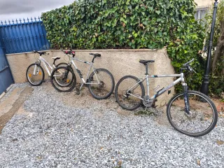 Bicicletas Clásicas de los 90