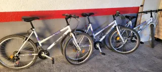 Bicicleta Orbea Junior Rueda 26