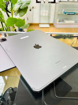 iPad Pro 12.9 6ª Gen 256 GB WiFi+eSIM Plata