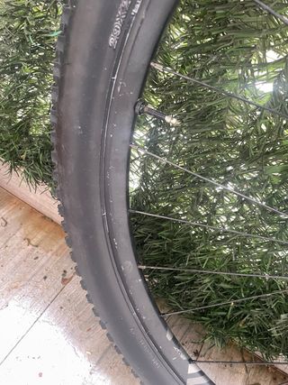 RUOTA POSTERIORE 29” DTSWISS XR 1501