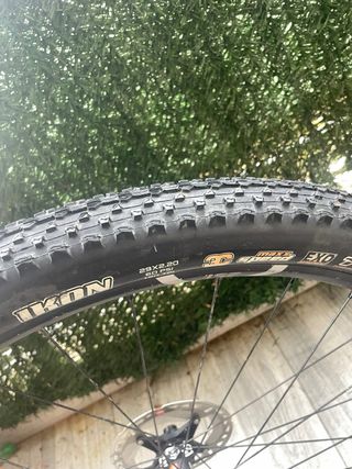 RUOTA POSTERIORE 29” DTSWISS XR 1501