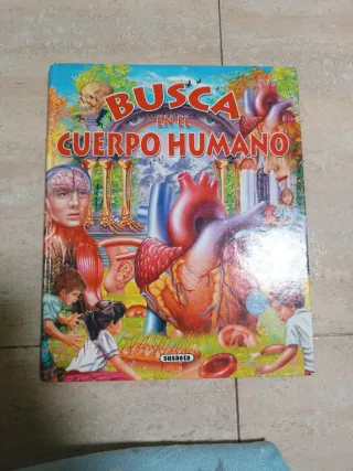 Busca en el cuerpo humano