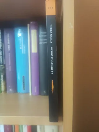 La mujer y el paisaje (Acantilado/ Cliff) (Span...