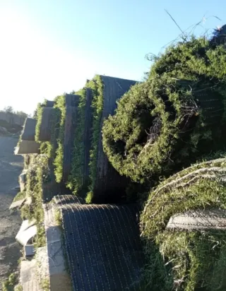 Césped Artificial Reciclado