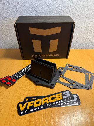 Laminas Vforce 3 GasGas ec 300 ec250