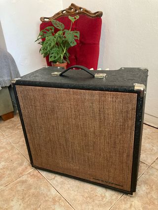 Ampeg J12T Clone Handmade