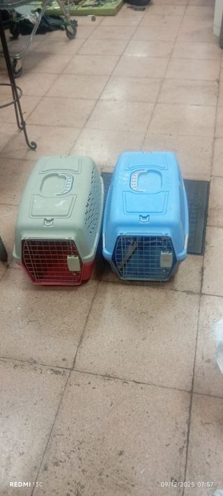 Transportín para gatos