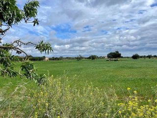 Solar en venta en Campos