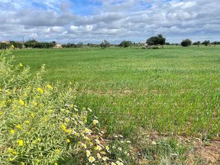 Solar en venta en Campos