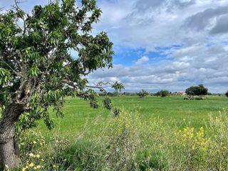 Terreno en venta en Campos