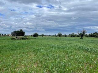 Terreno en venta en Campos